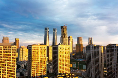 房地產(chǎn)投資環(huán)境全景掃描 機遇、挑戰(zhàn)與未來趨勢