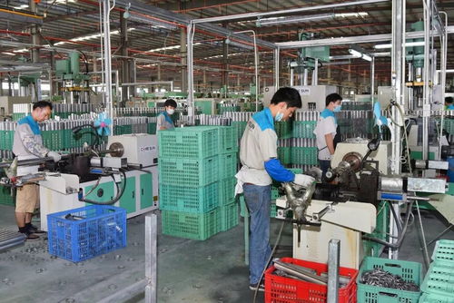 懷文抱質，匠心木魂 陽江竹木企業(yè)以工業(yè)酶制劑研發(fā)引領粵東西北外貿出口